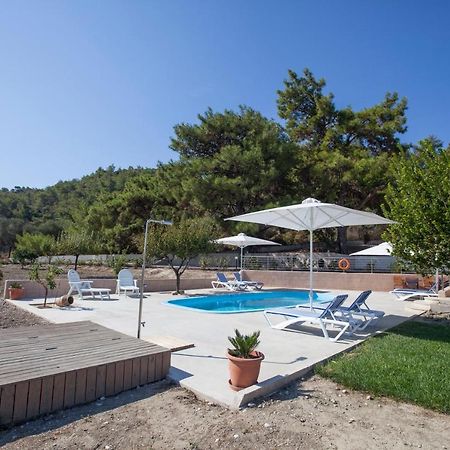 The Olive Grove Villa Private Pool With Star Links Wifi Theologos  Luaran gambar