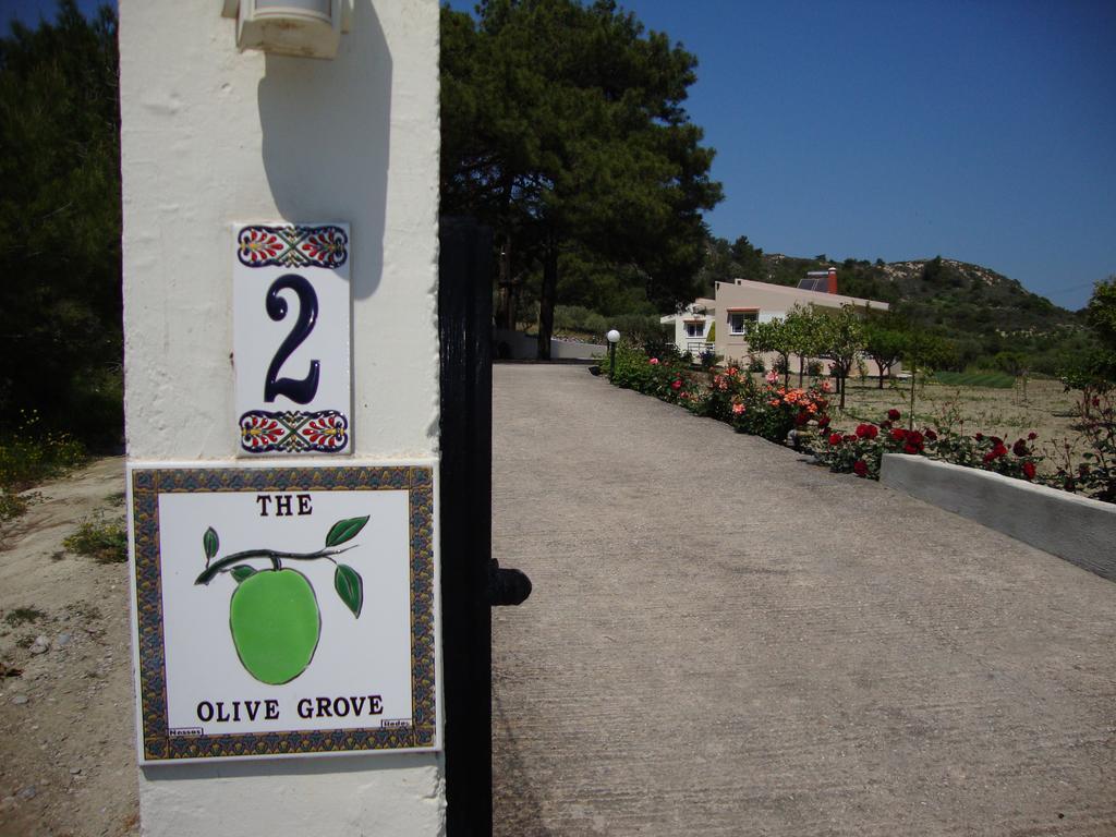 The Olive Grove Villa Private Pool With Star Links Wifi Theologos  Luaran gambar