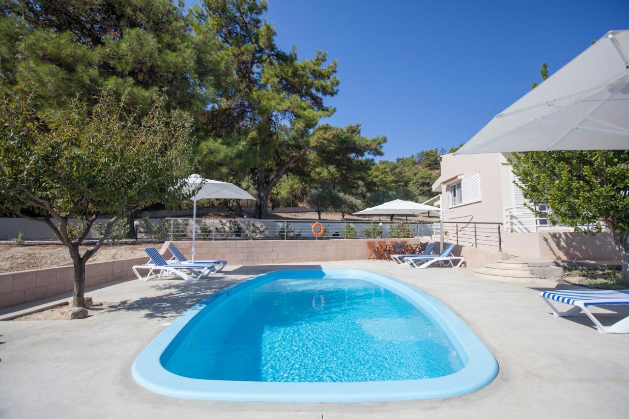 The Olive Grove Villa Private Pool With Star Links Wifi Theologos  Luaran gambar