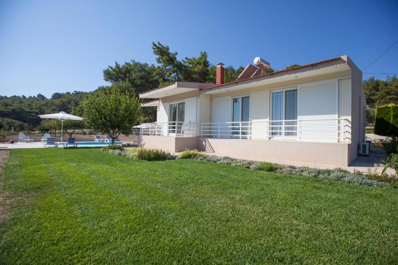 The Olive Grove Villa Private Pool With Star Links Wifi Theologos  Luaran gambar