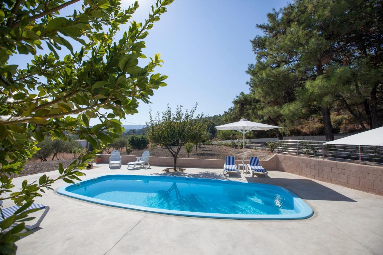 The Olive Grove Villa Private Pool With Star Links Wifi Theologos  Luaran gambar