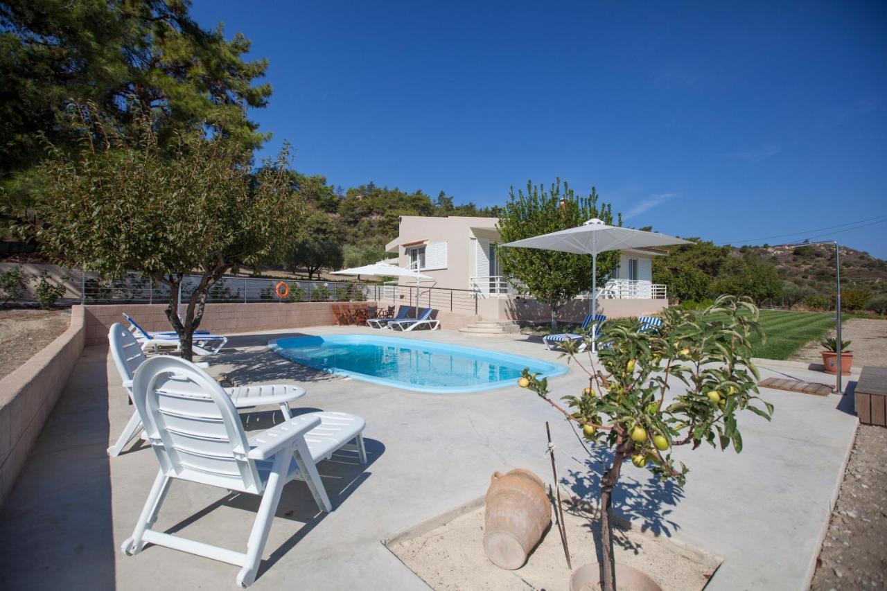 The Olive Grove Villa Private Pool With Star Links Wifi Theologos  Luaran gambar
