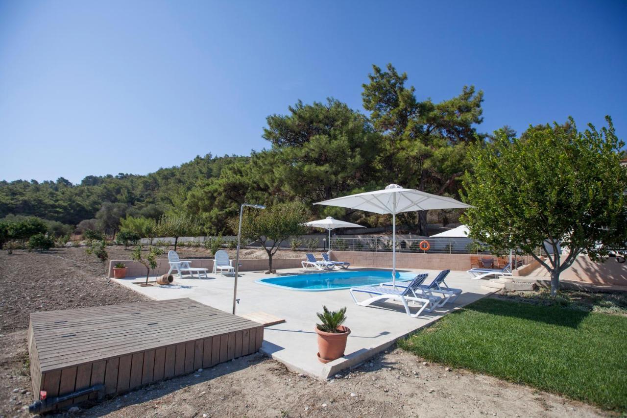 The Olive Grove Villa Private Pool With Star Links Wifi Theologos  Luaran gambar