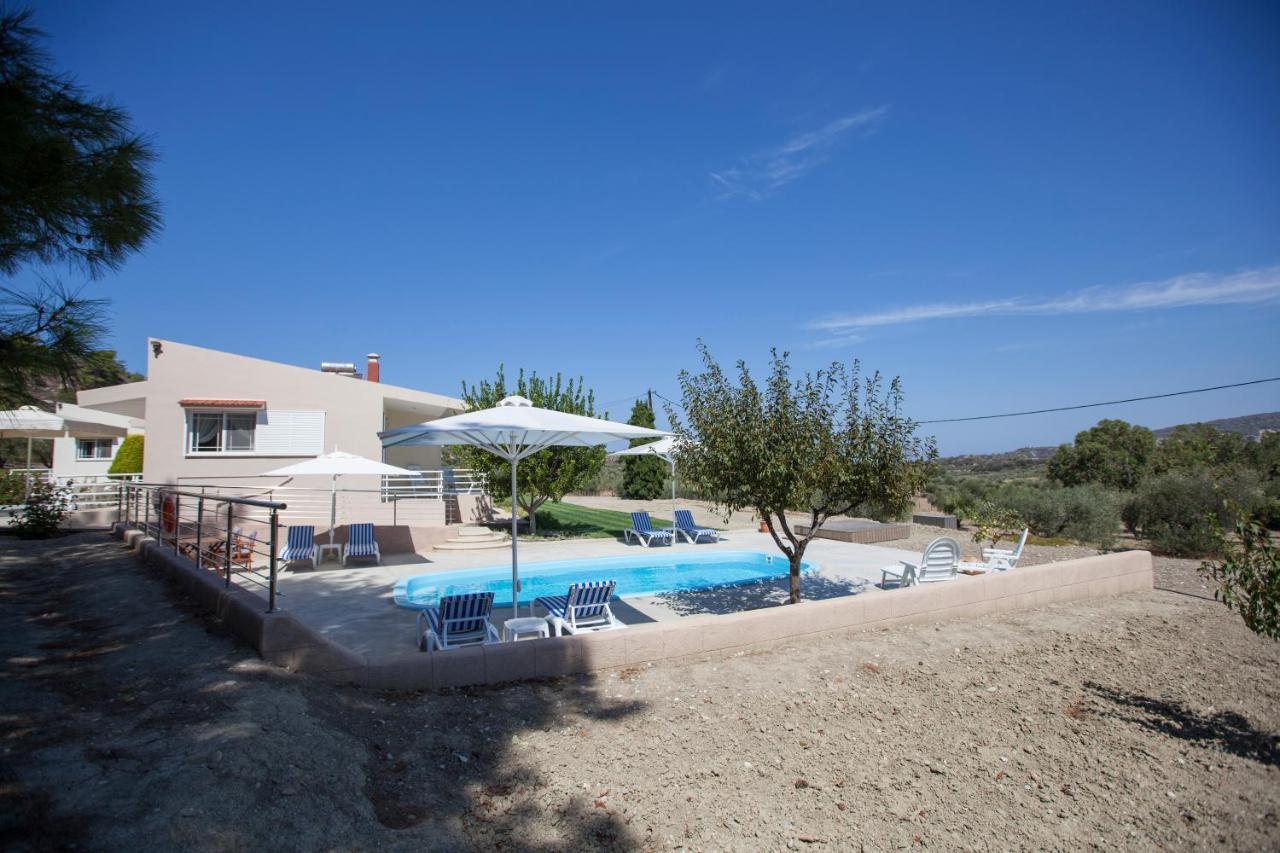 The Olive Grove Villa Private Pool With Star Links Wifi Theologos  Luaran gambar