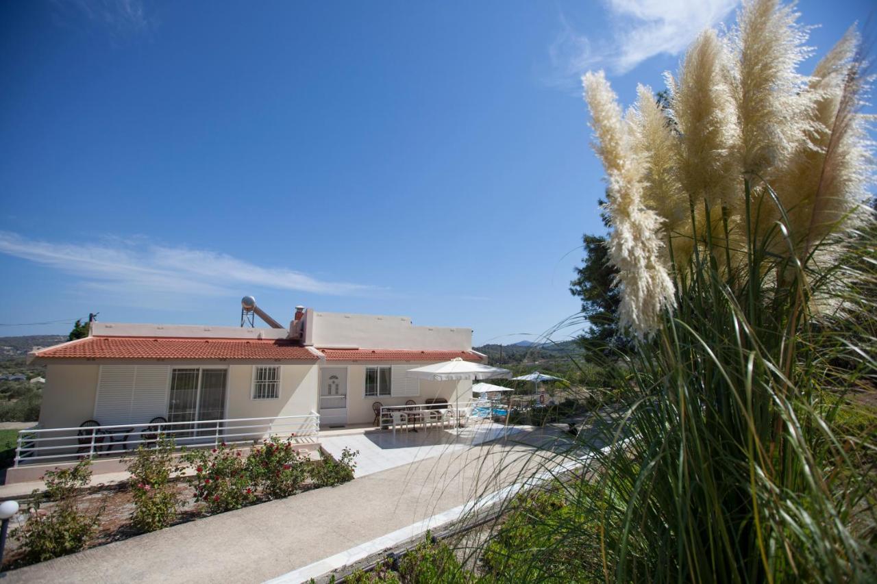 The Olive Grove Villa Private Pool With Star Links Wifi Theologos  Luaran gambar