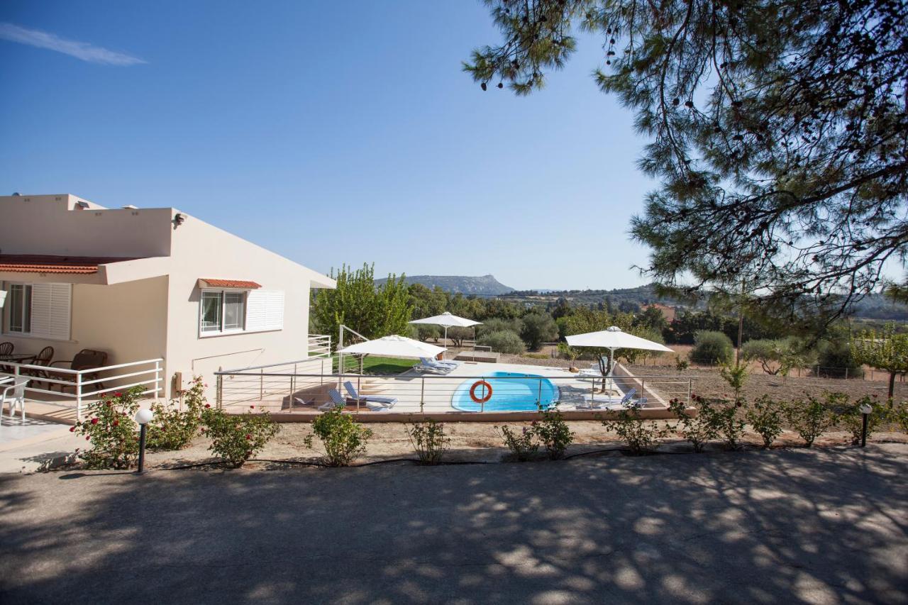 The Olive Grove Villa Private Pool With Star Links Wifi Theologos  Luaran gambar