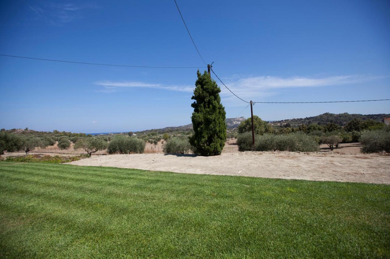 The Olive Grove Villa Private Pool With Star Links Wifi Theologos  Luaran gambar