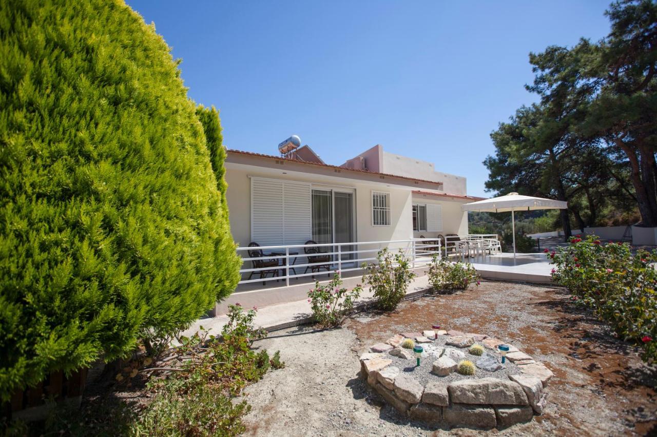 The Olive Grove Villa Private Pool With Star Links Wifi Theologos  Luaran gambar