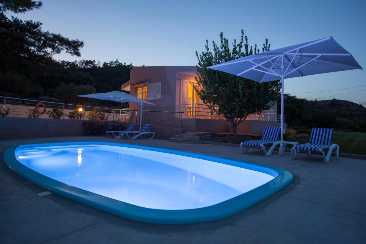 The Olive Grove Villa Private Pool With Star Links Wifi Theologos  Luaran gambar