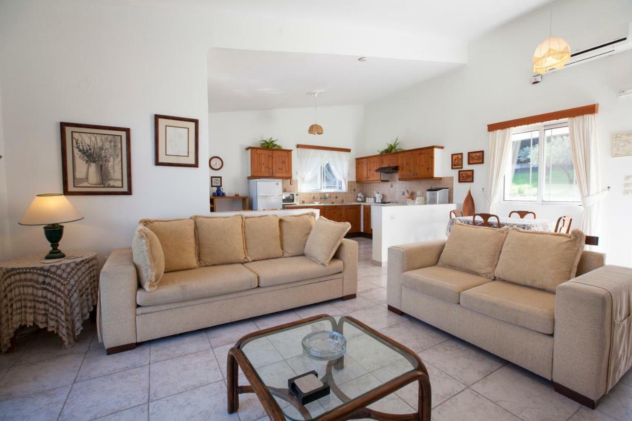 The Olive Grove Villa Private Pool With Star Links Wifi Theologos  Luaran gambar