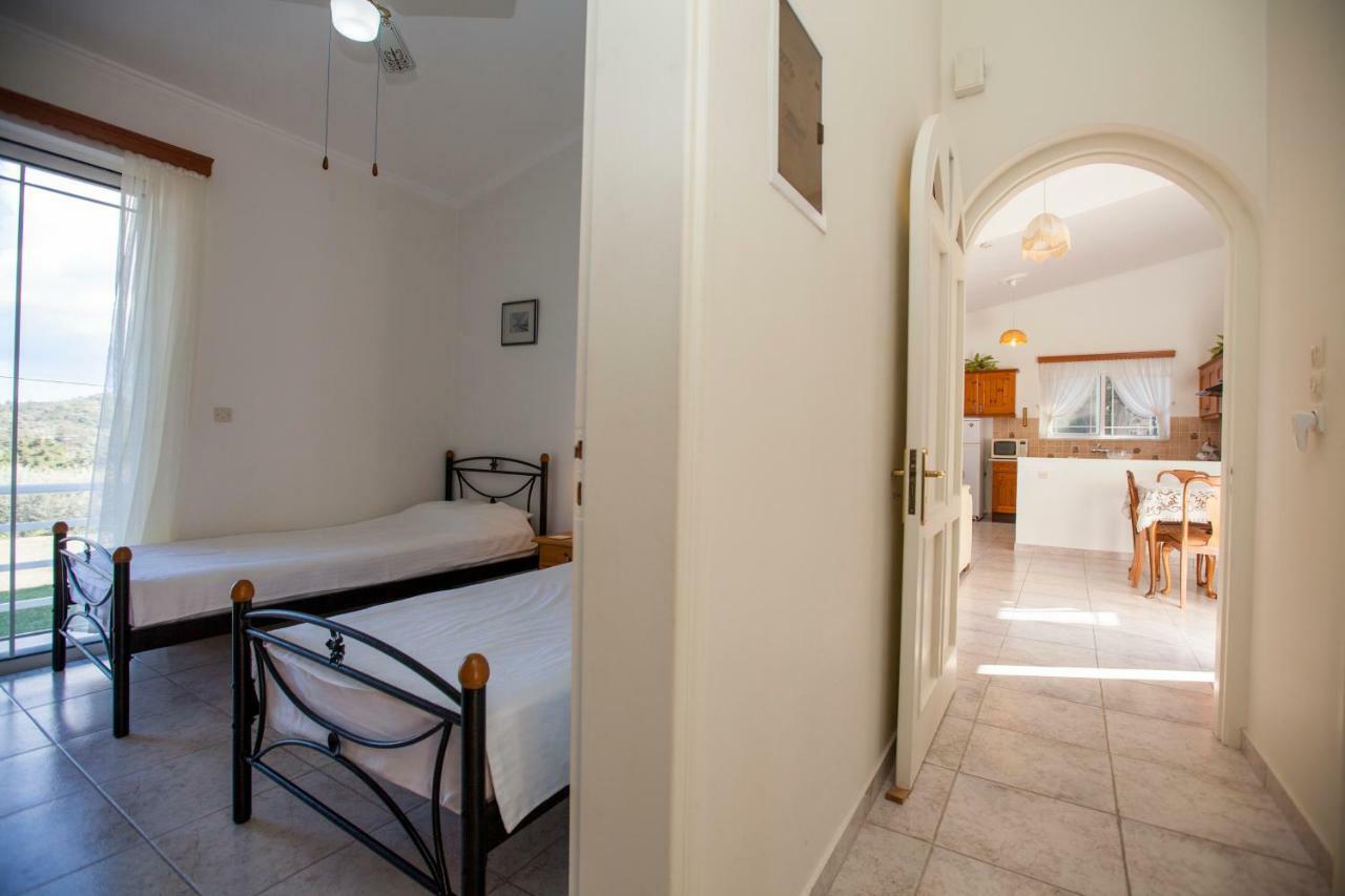 The Olive Grove Villa Private Pool With Star Links Wifi Theologos  Luaran gambar
